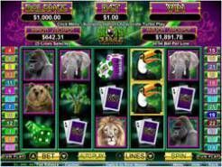 Slots Jungle